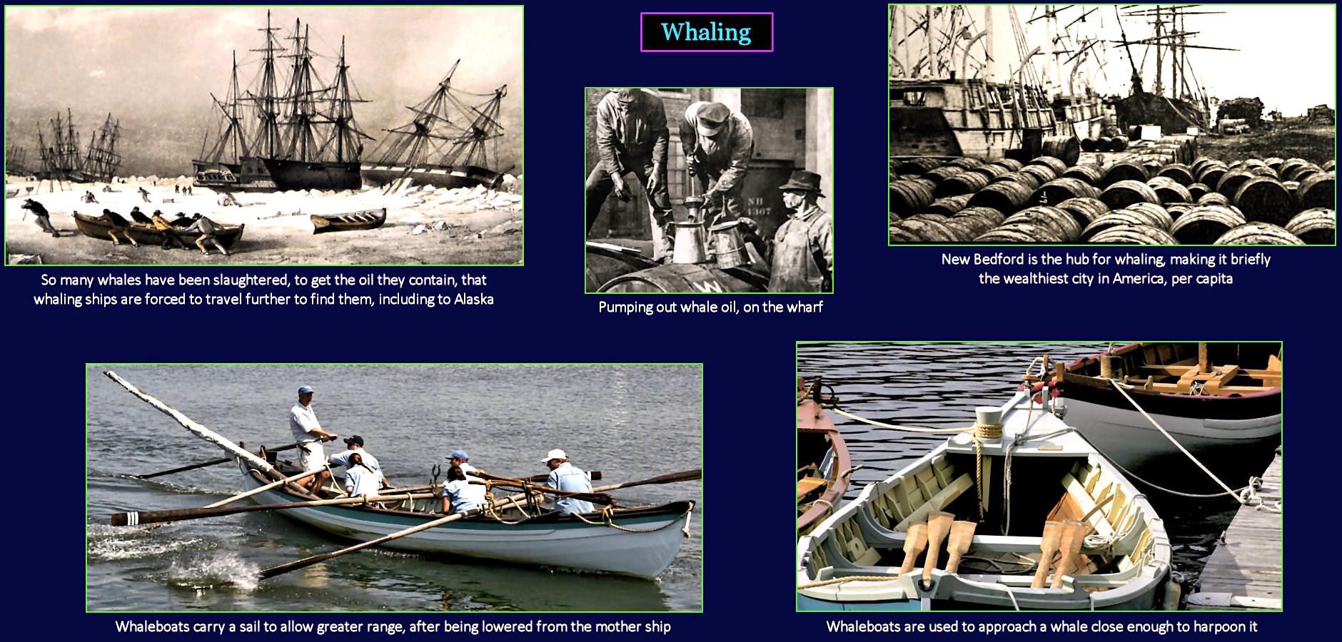 Peak whaling, 1850s